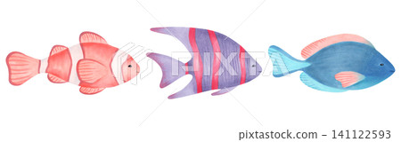 Clownfish, angelfish and surgeonfish. Watercolor cartoon children illustration. Hand drawn tropical fish. Marine animal underwater world. Clipart for nursery wall art, baby shower or nautical decor. Clownfish, angelfish and surgeonfish. Watercolor cartoon children illustration. Hand drawn tropical fish. Marine animal underwater world. Clipart for nursery wall art, baby shower or nautical decor. 141122593
