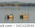 Wooden fish traps on Lake Constance,  Germany 141122630