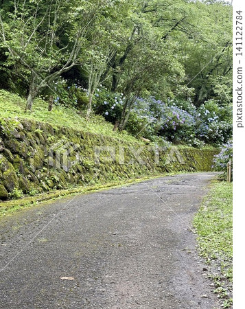 A quiet walking path surrounded by stone walls and summer nature 141122784