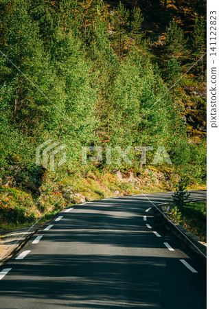 Empty curving asphalt road through a bright green summer forest. Empty curving asphalt road through a bright green summer forest. 141122823