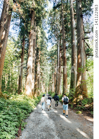 [Togakushi, Nagano City] Togakushi Shrine Inner Sanctuary: Scenery of the cedar-lined approach and tourists 141122963