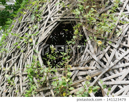 Woven Architecture Woven Architecture 141123479