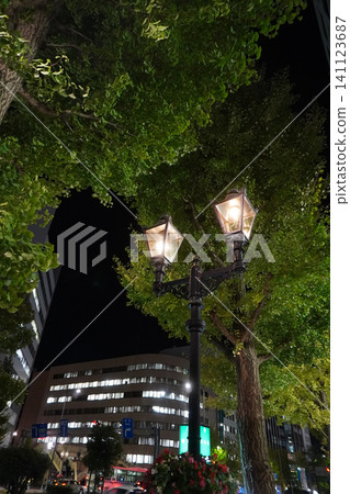 新潟市路燈 01 新潟市路燈 01 141123687