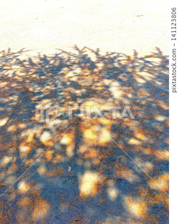 A park square in early summer, with fallen leaves scattered amidst a Himalayan cedar forest bathed in dappled sunlight. A park square in early summer, with fallen leaves scattered amidst a Himalayan cedar forest bathed in dappled sunlight. 141123806