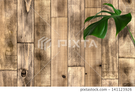 Vintage-style reclaimed wood and a monstera plant background. Vintage-style reclaimed wood and a monstera plant background. 141123926