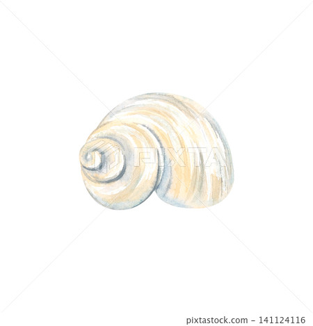 Watercolor illustration of a seashell from the ocean coast. Isolated underwater nautilus shell, hand-drawn. Beige and blue shell from a vacation, travel, or summer weekend. Stylized mollusk. Watercolor illustration of a seashell from the ocean coast. Isolated underwater nautilus shell, hand-drawn. Beige and blue shell from a vacation, travel, or summer weekend. Stylized mollusk. 141124116