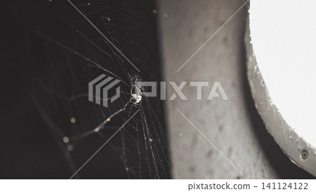 A spiderweb spun in the darkness A spiderweb spun in the darkness 141124122