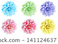 Set of colorful dahlia flowers isolated on white background.  141124637