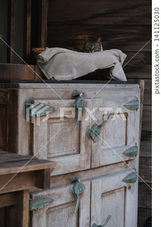 Old wooden furniture and cat, trunk drawers and cloth Old wooden furniture and cat, trunk drawers and cloth 141125030
