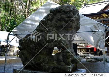 一座長滿青苔的石獅子雕像和神社的庭院。 一座長滿青苔的石獅子雕像和神社的庭院。 141125036