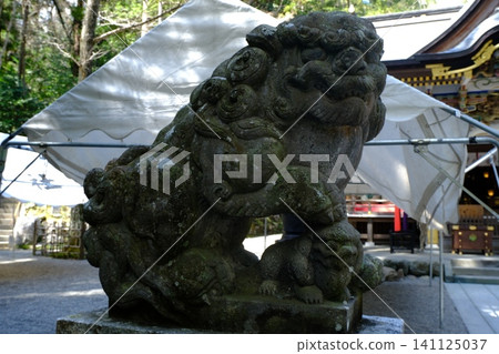 苔蘚覆蓋的守護獅雕像和神社建築:戶外雕塑 苔蘚覆蓋的守護獅雕像和神社建築:戶外雕塑 141125037
