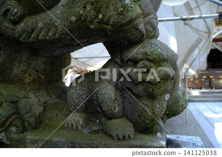長滿青苔的石獅子雕像和神社景色。 長滿青苔的石獅子雕像和神社景色。 141125038
