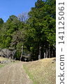 A landscape of ruined stairs and lush green plants. 141125061