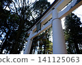 White building and giant bell ornament against a forest background 141125063
