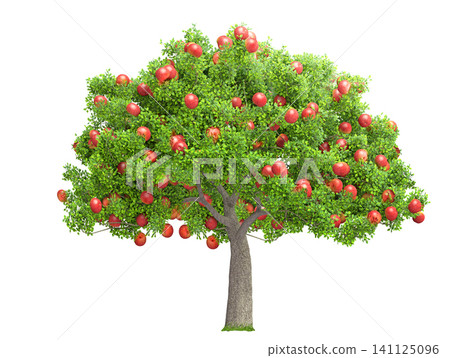 red apple tree isolated on transparent background, 3D illustration red apple tree isolated on transparent background, 3D illustration 141125096
