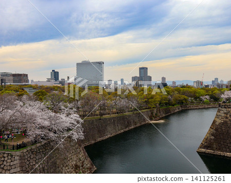 大阪城護城河和城市景觀上盛開的櫻花 大阪城護城河和城市景觀上盛開的櫻花 141125261