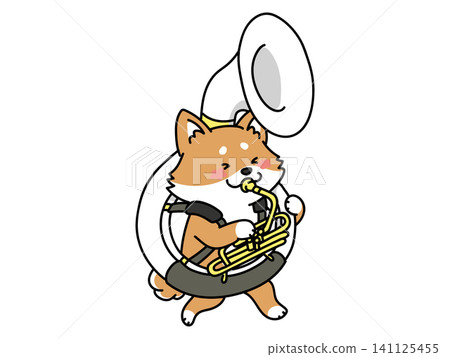 A Shiba Inu playing the sousaphone while marching A Shiba Inu playing the sousaphone while marching 141125455