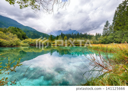 Gorgeous summer view on Zelenci lake with beautiful reflections in water. Gorgeous summer view on Zelenci lake with beautiful reflections in water. 141125666