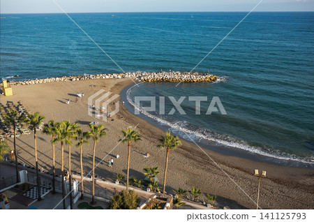 Serene beach landscape with palm trees and calm ocean waves in background Serene beach landscape with palm trees and calm ocean waves in background 141125793