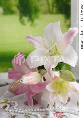 美麗的百合花 美麗的百合花 141126362