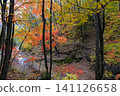 Autumn forest in Primorsky Krai Far East Russia with colorful trees and a quiet stream. Natural woodland landscape with vibrant fall foliage. 141126658