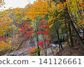 Autumn forest landscape with small waterfall and wooden boardwalk in mountain park. Colorful fall foliage and scenic nature trail. 141126661