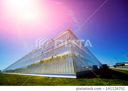 Modern glass greenhouses against the blue sky. Modern glass greenhouses against the blue sky. 141126702