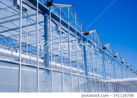 Modern glass greenhouses against the blue sky. 141126706