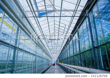 The frame of a modern greenhouse against the sky 141126708