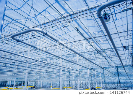 The frame of a modern empty greenhouse The frame of a modern empty greenhouse 141126744