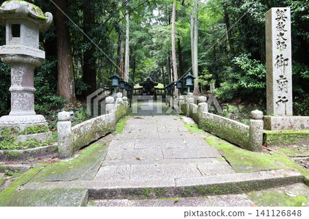 和歌山縣岩出市根五郎寺的庭院景色。 141126848