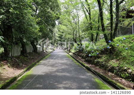 和歌山縣岩出市根五郎寺的庭院景色。 和歌山縣岩出市根五郎寺的庭院景色。 141126890