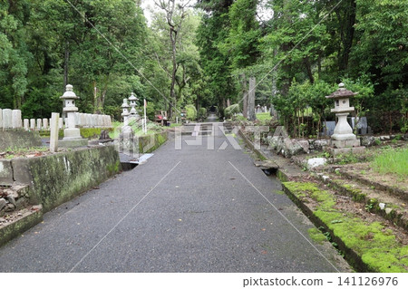 和歌山縣岩出市根五郎寺的庭院景色。 和歌山縣岩出市根五郎寺的庭院景色。 141126976