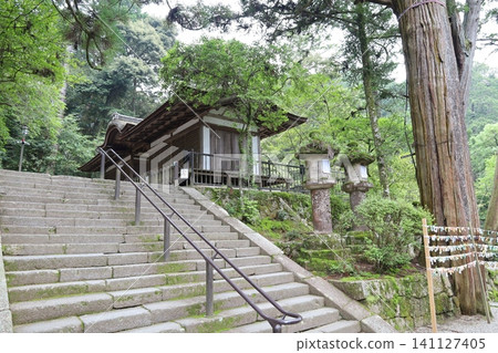 A view of the grounds of Isonokami Shrine in Tenri City, Nara Prefecture. A view of the grounds of Isonokami Shrine in Tenri City, Nara Prefecture. 141127405