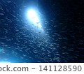 Light streaming into an underwater cave and schools of swimming fish 141128590