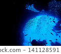 Underwater cave arch and divers enjoying diving 141128591