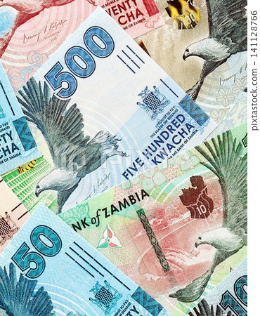 Zambian kwacha money bills pile on table. Zambia banknotes of ZMW currency close up Zambian kwacha money bills pile on table. Zambia banknotes of ZMW currency close up 141128766