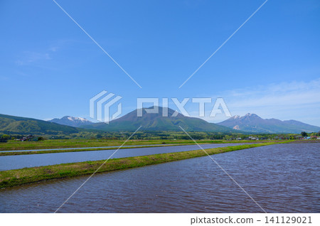稻田與北信濃的五座山峰 [信濃町，上之道郡] 141129021