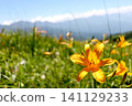 Flowering in the plateau Flowering in the plateau 141129233