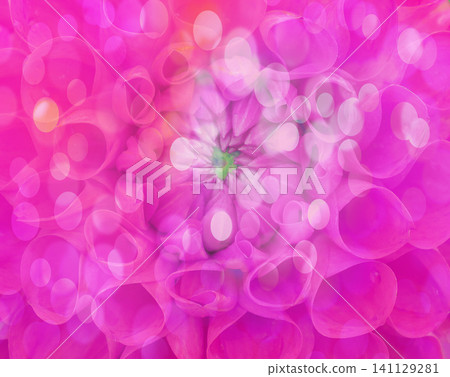 Petals floating against a background of purple flowers Petals floating against a background of purple flowers 141129281