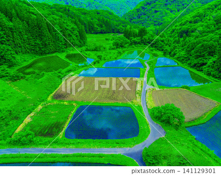 與梯田的風景 141129301