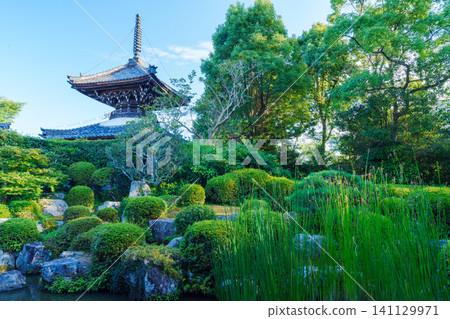 The multi-storied pagoda visible from the garden of Ennoin Temple at Anao-ji Temple. The multi-storied pagoda visible from the garden of Ennoin Temple at Anao-ji Temple. 141129971