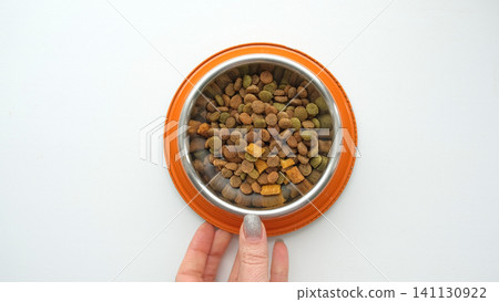 Pet Food pouring. Balanced dog food. Owner female hand is pour dry cat food into a steel gray cat bowl. Dry pet food falls into the bowl on the floor. Pet diet concept. Close-up. Dry animal feed Pet Food pouring. Balanced dog food. Owner female hand is pour dry cat food into a steel gray cat bowl. Dry pet food falls into the bowl on the floor. Pet diet concept. Close-up. Dry animal feed 141130922