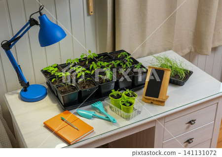 Indoor plant online class. Educational seminar about growing sprouts. Learning session caring for garden seedlings. Practical nurturing and planting training. Gardening workshop desk with seed trays Indoor plant online class. Educational seminar about growing sprouts. Learning session caring for garden seedlings. Practical nurturing and planting training. Gardening workshop desk with seed trays 141131072