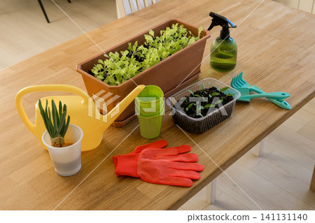 Gardening tools and herbs on wooden table with potted plants and soil for planting. Workshop class plant caring, replanting houseplants. Indoors gardener workplace desk. Horticulture home work space. Gardening tools and herbs on wooden table with potted plants and soil for planting. Workshop class plant caring, replanting houseplants. Indoors gardener workplace desk. Horticulture home work space. 141131140