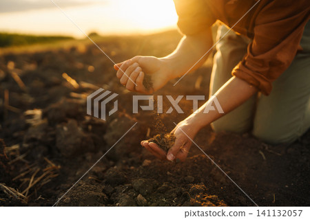 Female hands touching soil on the field. Agriculture, gardening or ecology concept Female hands touching soil on the field. Agriculture, gardening or ecology concept 141132057