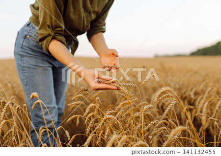 Beautiful woman farmer checks the quality of wheat. Agriculture, gardening or ecology concept. Beautiful woman farmer checks the quality of wheat. Agriculture, gardening or ecology concept. 141132455