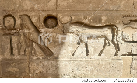 Beautiful bas-reliefs and ancient hieroglyphs from the mortuary temple of Ramesses III at Medinet Habu, Luxor, Egypt. Beautiful bas-reliefs and ancient hieroglyphs from the mortuary temple of Ramesses III at Medinet Habu, Luxor, Egypt. 141133358