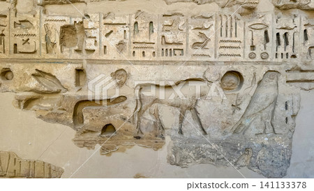 Beautiful bas-reliefs and ancient hieroglyphs from the mortuary temple of Ramesses III at Medinet Habu, Luxor, Egypt. Beautiful bas-reliefs and ancient hieroglyphs from the mortuary temple of Ramesses III at Medinet Habu, Luxor, Egypt. 141133378