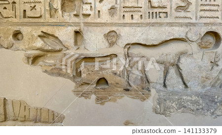 Beautiful bas-reliefs and ancient hieroglyphs from the mortuary temple of Ramesses III at Medinet Habu, Luxor, Egypt. Beautiful bas-reliefs and ancient hieroglyphs from the mortuary temple of Ramesses III at Medinet Habu, Luxor, Egypt. 141133379